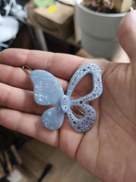 Photo of free Hair clips (SW15) #1