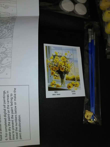 Photo of free Adult painting with numbers (Heacham PE31) #1