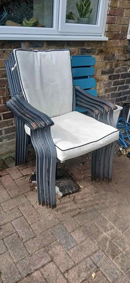 Photo of free Garden chairs with cushions x 5 (CT11) #1