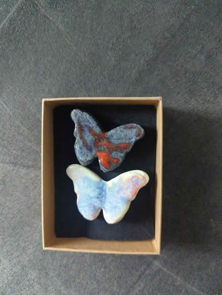 Photo of free Butterfly brooches (Ingol PR2) #1