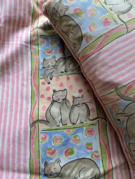Photo of free Pink cat curtains and cushion (Burnham SL1) #2