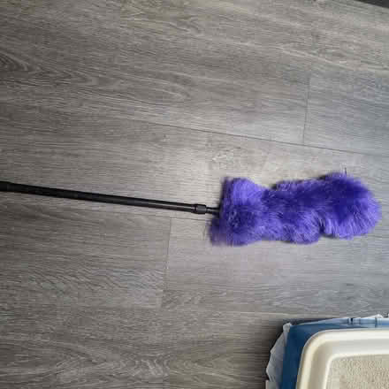 Photo of free Radiator duster or ceiling cobwebs (Clive Vale TN35) #2