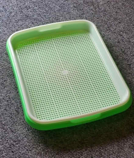 Photo of free Cress Tray (Hoxton Street N1) #1