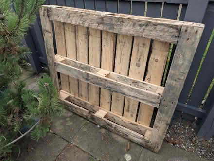 Photo of free Pallet (Muirhouse EH4) #1
