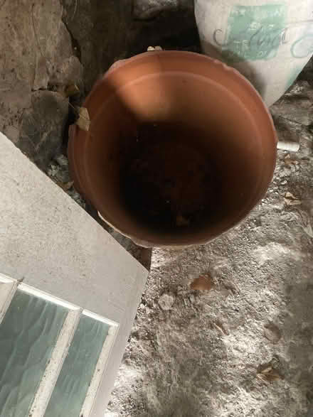Photo of free Garden pots (Old Radnor LD8) #1