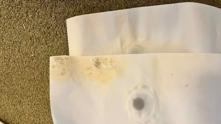 Photo of free Shower curtain, white (CB1 (Petersfield) Mill Road) #3