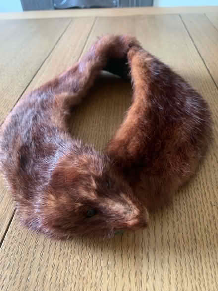 Photo of free Very old fur collar - drama club prop? (Bakewell DE45) #1