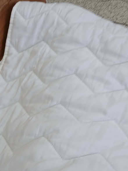 Photo of free Mattress Topper for Double Bed (Erith DA8) #1