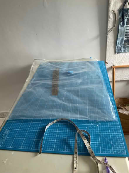 Photo of free Large plastic storage bags (New Town CO1) #2