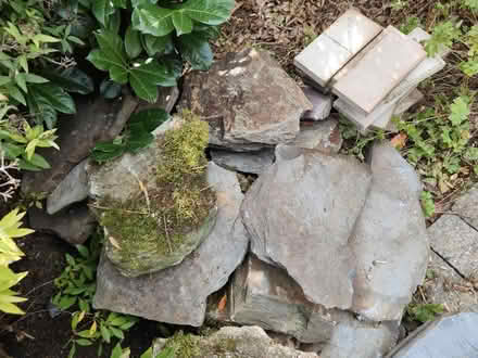 Photo of free Rockery stones (Maidenhead) #3