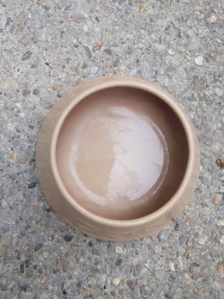Photo of free Dog bowl ceramic (Saints LU3) #2