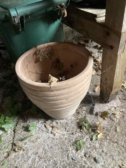 Photo of free Garden pots (Old Radnor LD8) #3