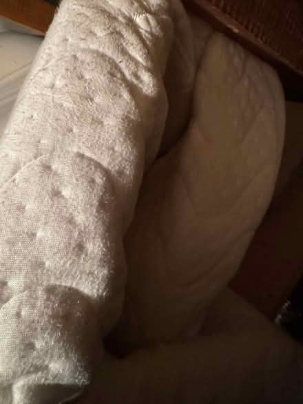 Photo of free mattress topper (Leatherhead) #1