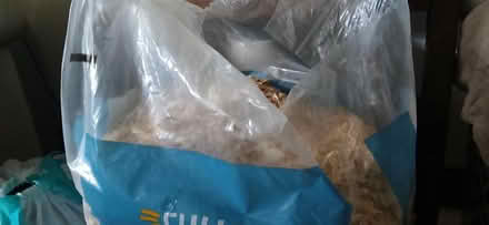 Photo of free Pet bedding (Longwood) #2