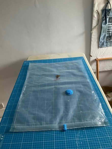 Photo of free Large plastic storage bags (New Town CO1) #1