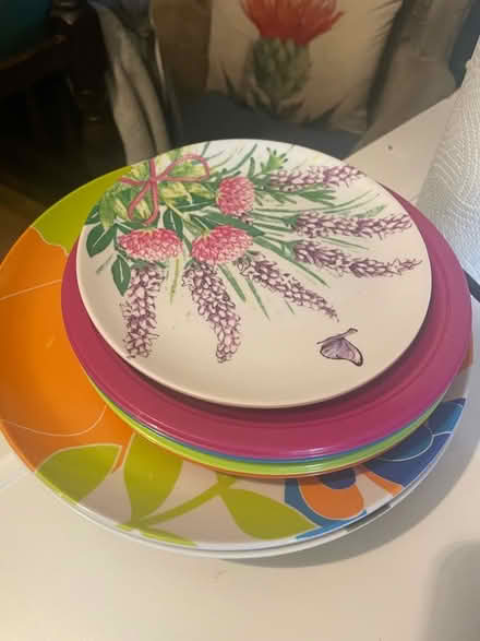 Photo of free Plastic camping plates (The Batch) #1