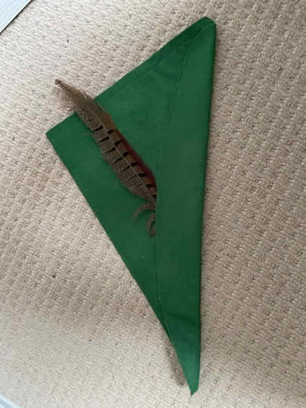 Photo of free Robin Hood hat (Queen Edith's Ward CB1) #1