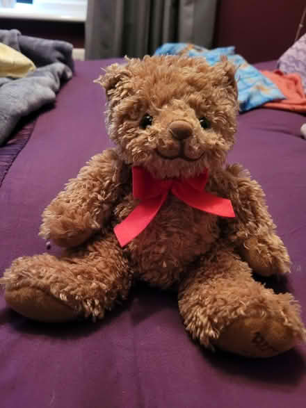 Photo of free Teddy Bear (Fareham PO15) #1