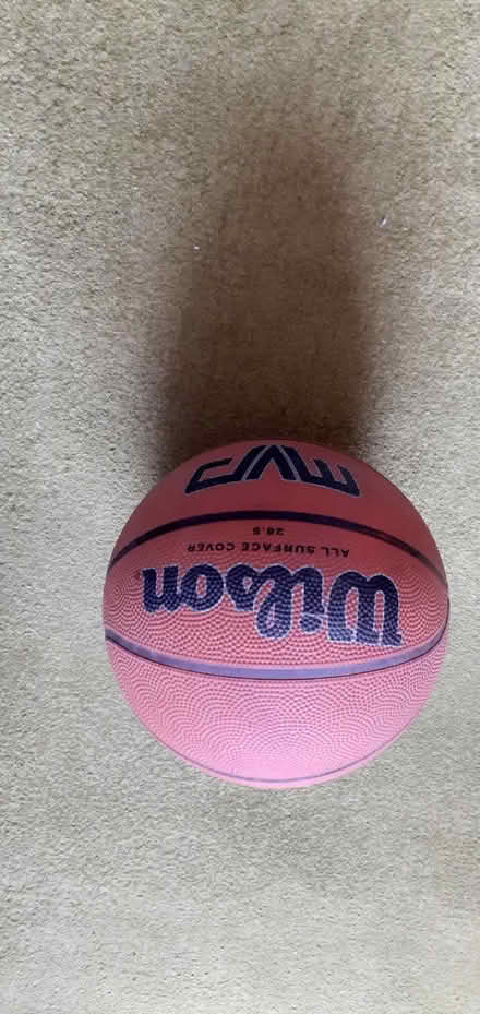 Photo of free Basket ball (Allerton BD15) #1
