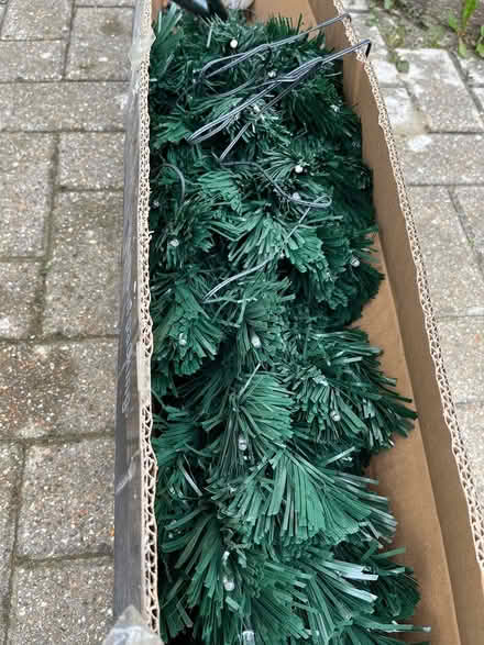 Photo of free Christmas tree with lights (Saltdean) #1