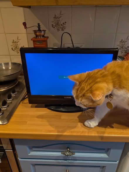 Photo of free Small TV 40cm (CH44 Wallasey) #1