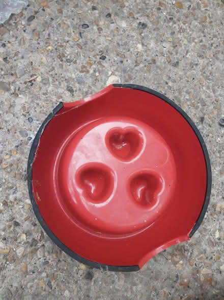 Photo of free Dog bowl plastic (Saints LU3) #3
