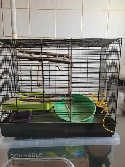 Photo of free Rodent/Chinchilla Cage (Sharston M22) #1