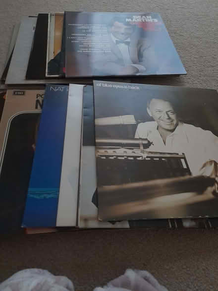 Photo of free LP vinyl (Tutbury DE13) #1
