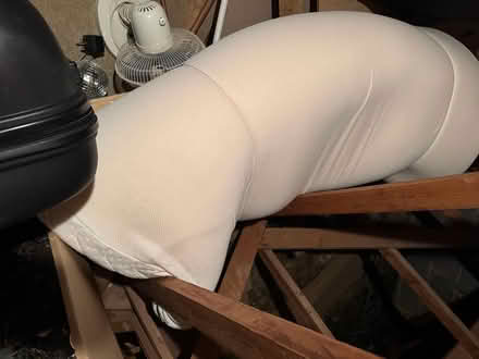 Photo of free mattress topper (Leatherhead) #2