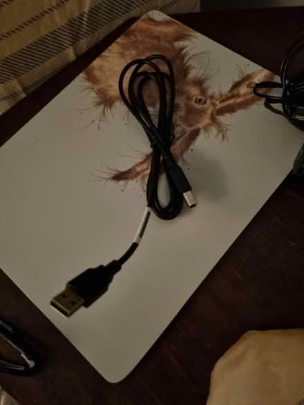 Photo of free Random device adaptor cables (CO5 Abberton) #3