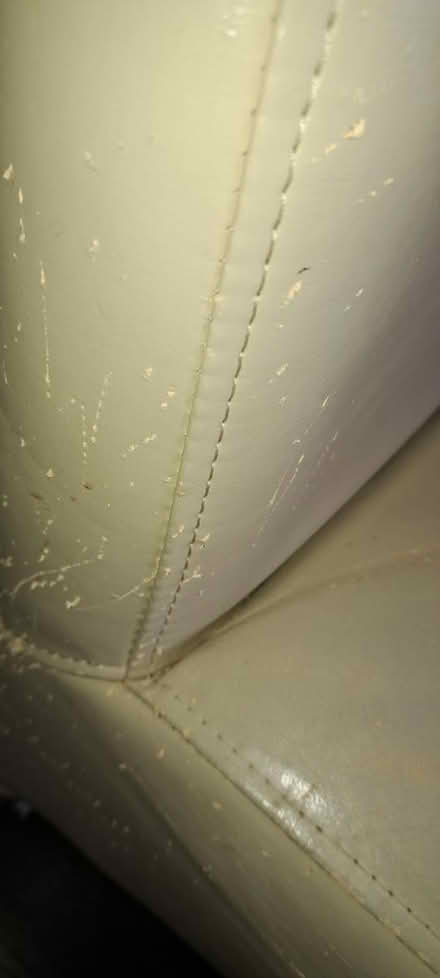 Photo of free Leather chairs (Slade Green DA8) #1