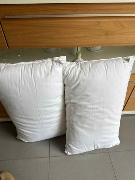 Photo of free Quality pillows x2 (Maperley ng3 NG3) #1