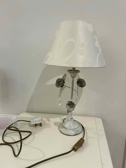 Photo of free Lamp (Berkekey) #1