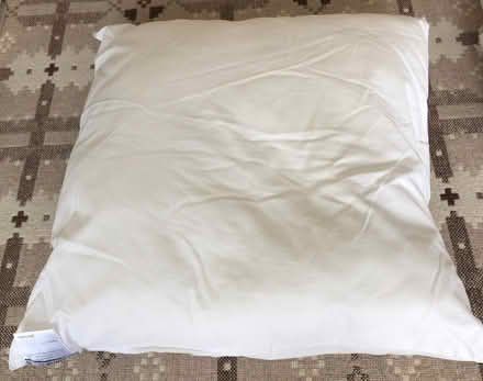 Photo of free Cushion pads (Buckhurst Hill IG9) #1