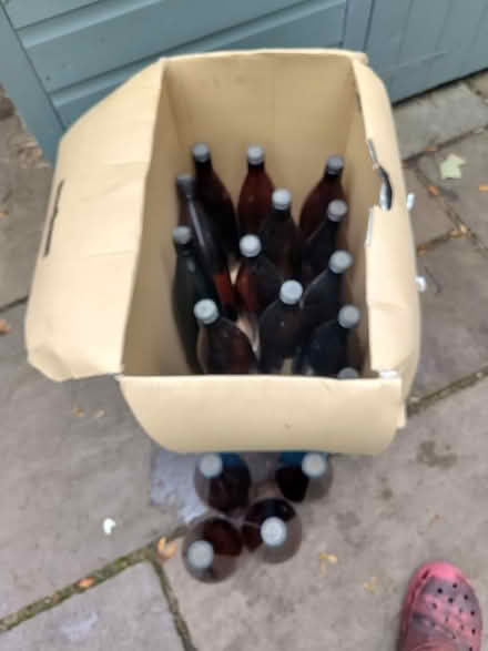 Photo of free 19 x 2 pint beer bottles (Lewisham SE13) #1