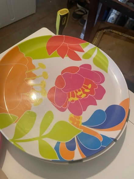 Photo of free Plastic camping plates (The Batch) #2