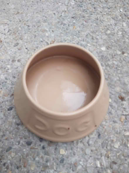 Photo of free Dog bowl ceramic (Saints LU3) #1