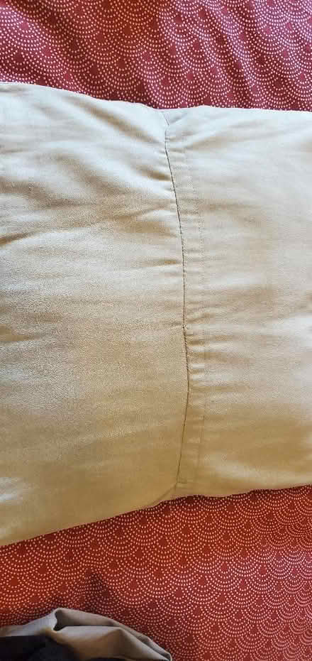 Photo of free 6 green cushions (Twyford RG10) #3