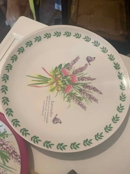 Photo of free Plastic camping plates (The Batch) #4