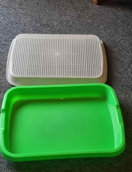 Photo of free Cress Tray (Hoxton Street N1) #3