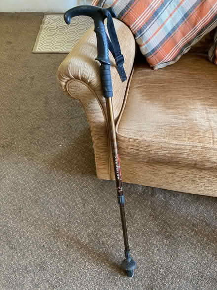 Photo of free Walking Stick, Adjustable and Anti Shock (Wales S26) #2