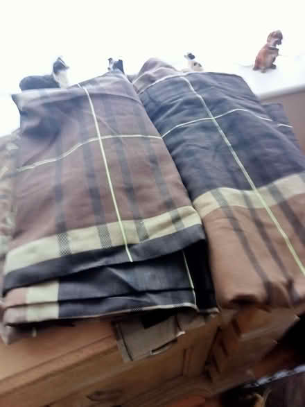 Photo of free Curtains (Polegate BN26) #1