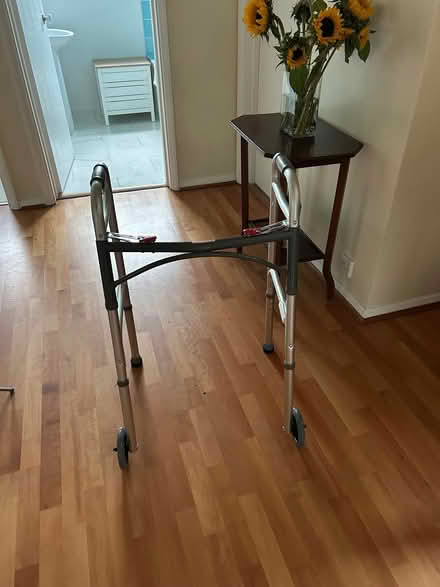 Photo of free Folding lightweight walking frame (Binfield Heath RG9) #1