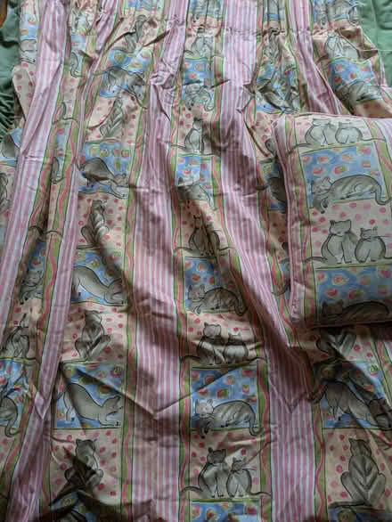 Photo of free Pink cat curtains and cushion (Burnham SL1) #1