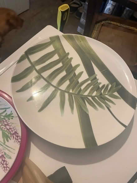 Photo of free Plastic camping plates (The Batch) #3