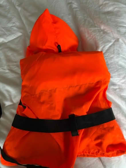 Photo of free Life vest (Chessington KT9) #2