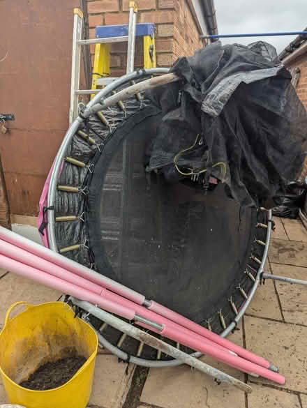 Photo of free Pink trampoline 6ft (EN7) #1
