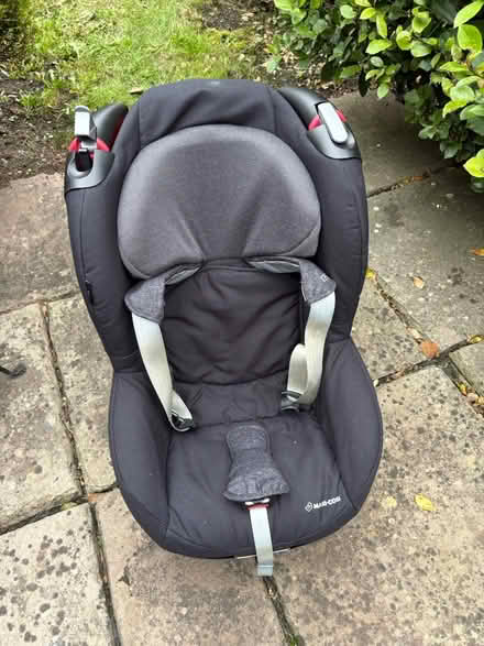 Photo of free Maxi-Cosi Tobi 9 months to 4 years (Hackney North) #1