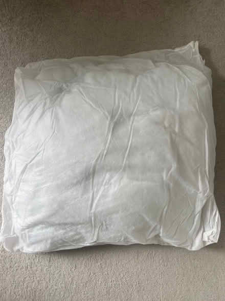 Photo of free Cushion inner (St Margarets TW1) #1
