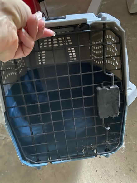 Photo of free Pet carrier (Wimbledon Park, SW19) #2
